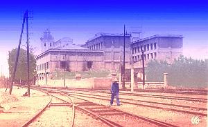 Relizane 524- Docks cooperatifs